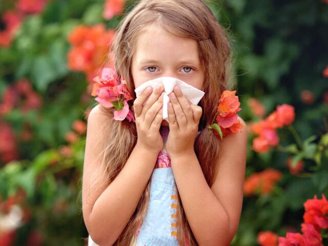 Todo sobre las alergias